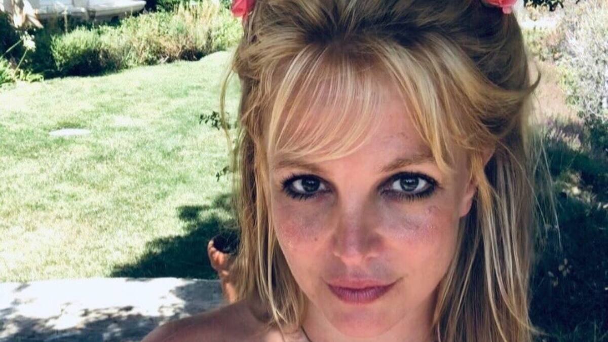 ¿Se acabo la historia? Britney Spears habría tenido un final feliz en el caso de sus perritos