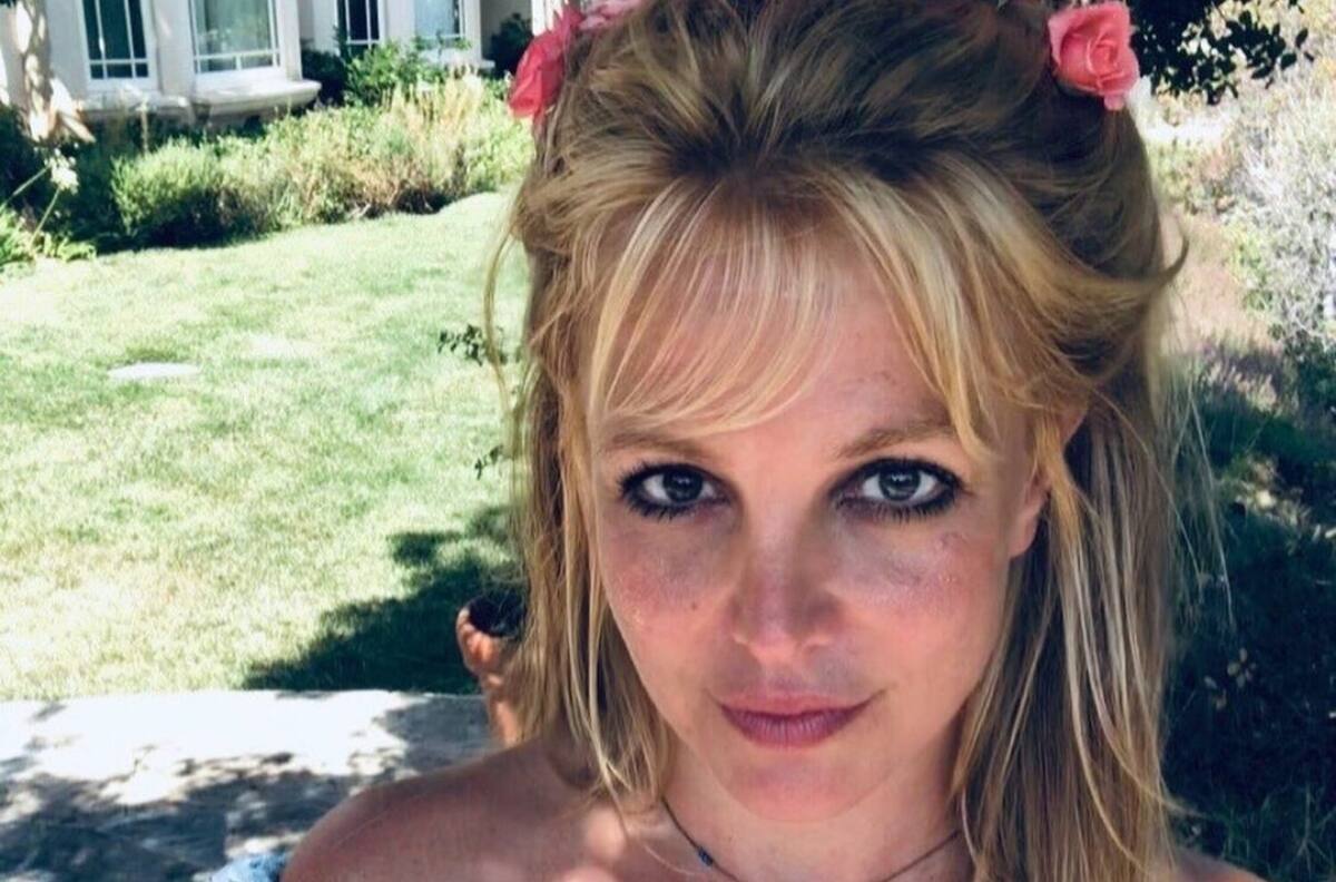 ¿Se acabo la historia? Britney Spears habría tenido un final feliz en el caso de sus perritos