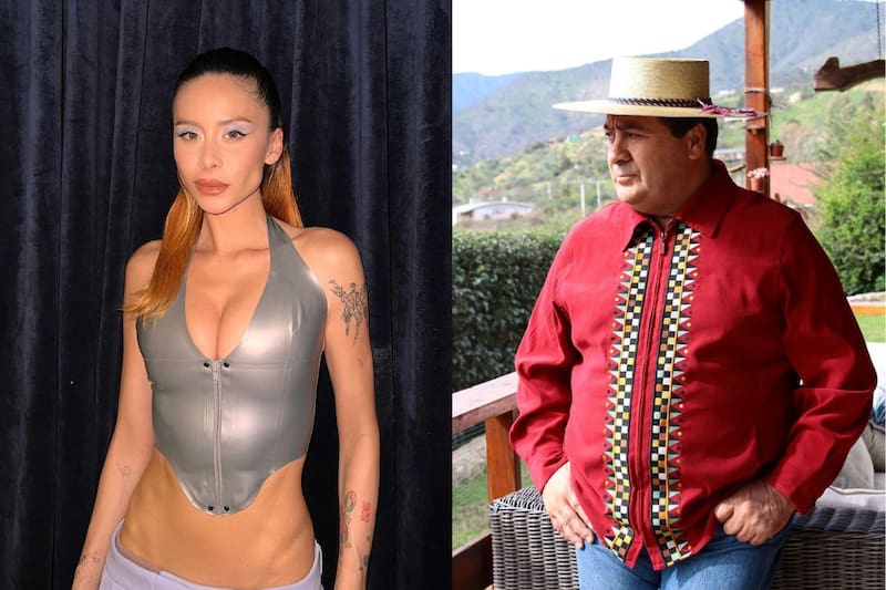 son algunos de los artistas que se presentaran en el Festival de Pichilemu 2024.