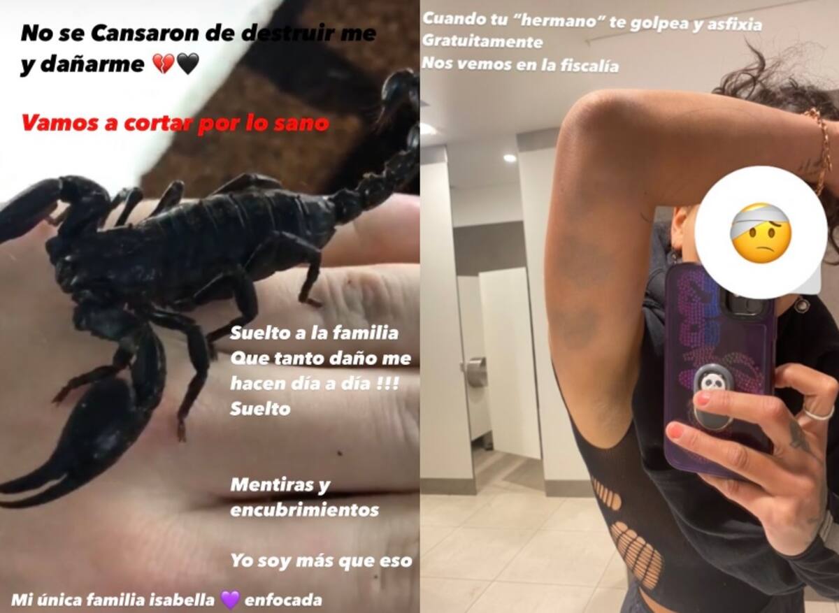 Camila Recabarren denunció a su hermano por violencia.