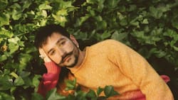 Festival de Viña 2023: prográmate para la noche de cierre del evento