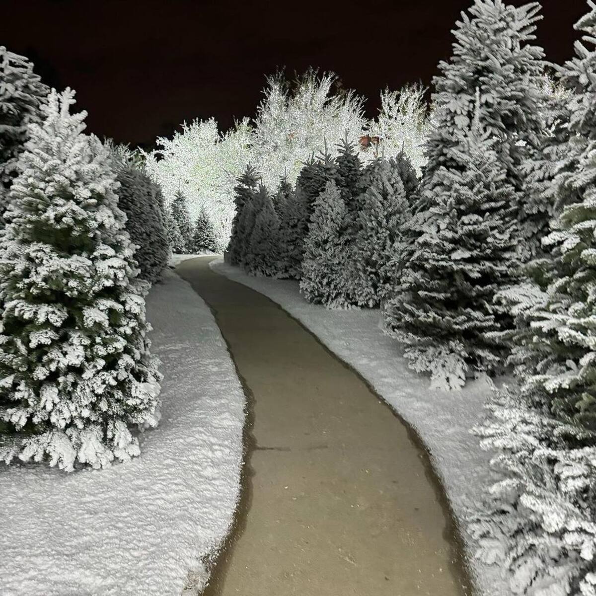 Kim Kardashian muestra de la decoración de su casa.