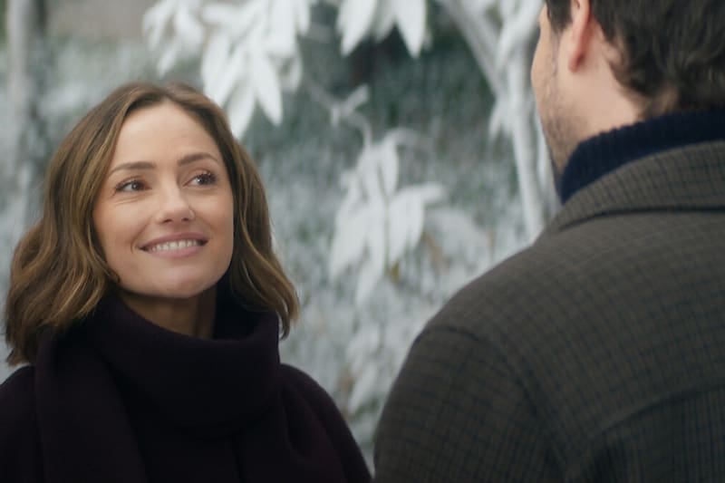 está disponible en Netflix.