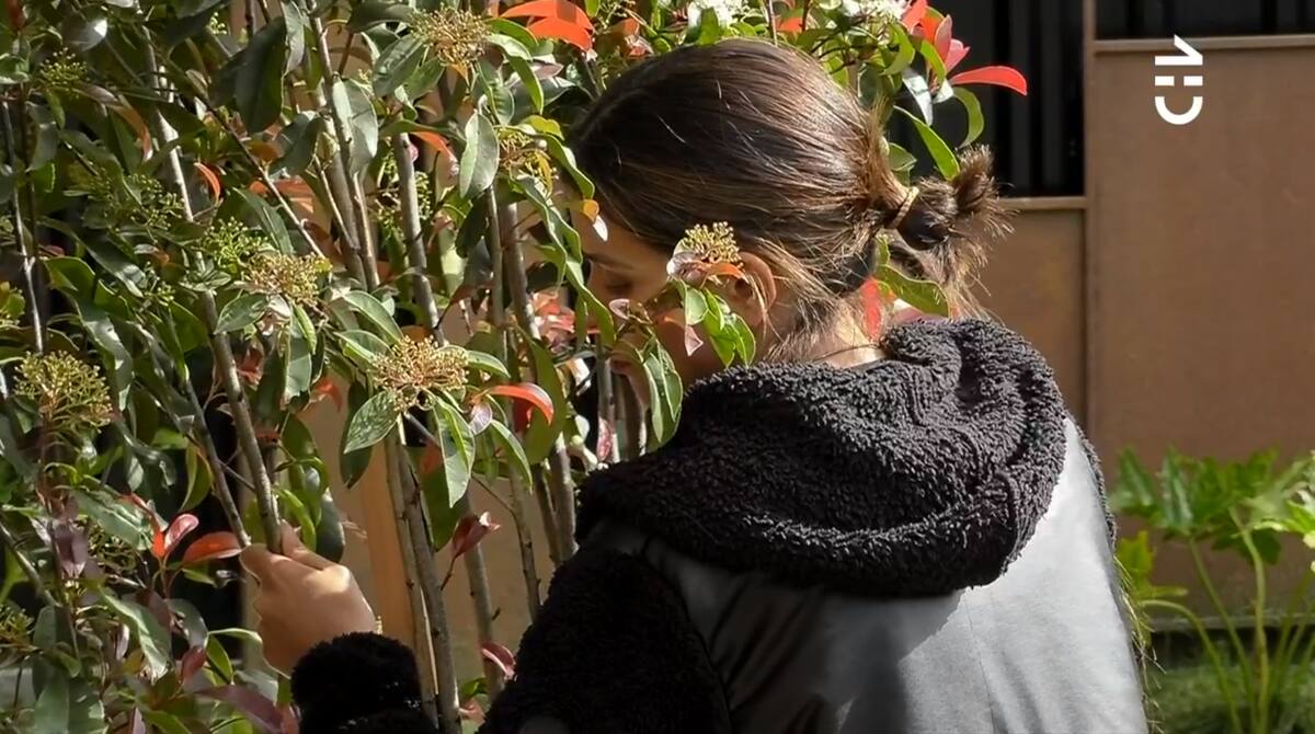 En una sesión de “terapia del árbol” de La Pincoya, Constanza Capelli se sinceró y contó más detalles del deplorable estado mental que está viviendo.