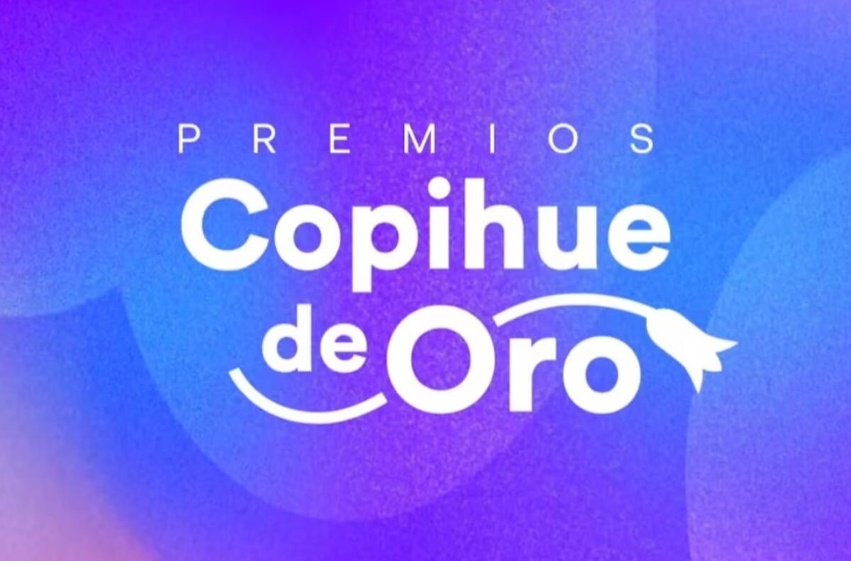 Copihue de Oro 2025: ¿Dónde y cómo votar por tus artistas y rostros favoritos de la TV chilena?