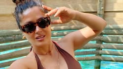 Salma Hayek deslumbra con bailes sexys en pantalla ¡Estos son los 5 mejores!