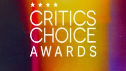 Estos son los mejores looks de los Critics Choice Awards 2024