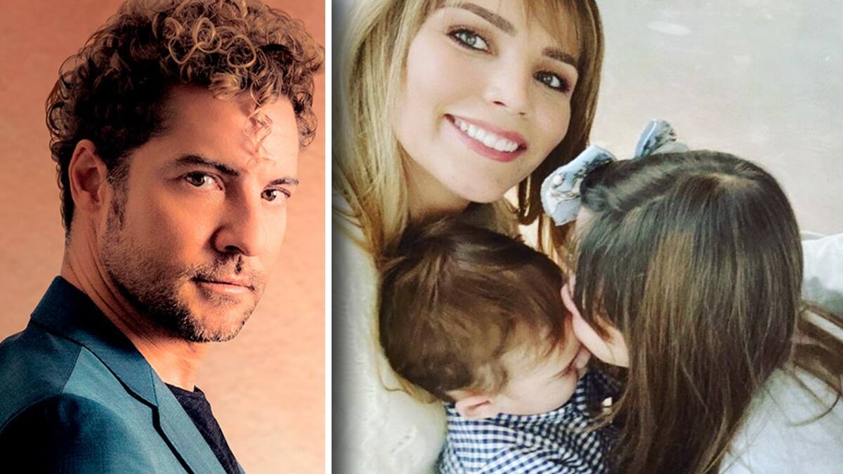 David Bisbal está desconsolado ¡No podrá ver a sus hijos!