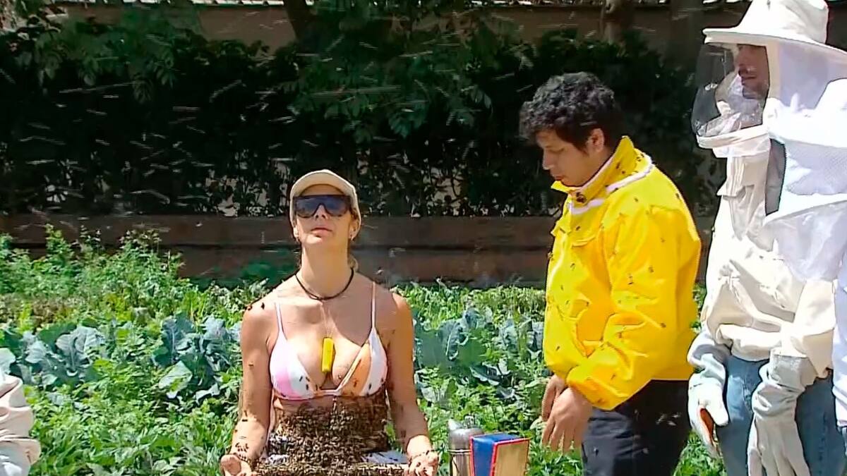 Spoiler en tiempo real: Filtran que querida y popular concursante fue eliminada de El Internado