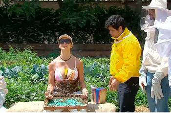 Spoiler en tiempo real: Filtran que querida y popular concursante fue eliminada de El Internado