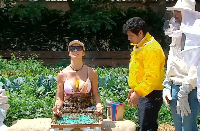 Querida concursante habría sido eliminada.