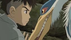 ¿De qué trata y cuándo se estrena El Niño y la Garza, la última película de Estudios Ghibli?