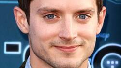 Desaprueba Elijah Wood que “The Lord of the Rings” se vaya de Nueva Zelanda