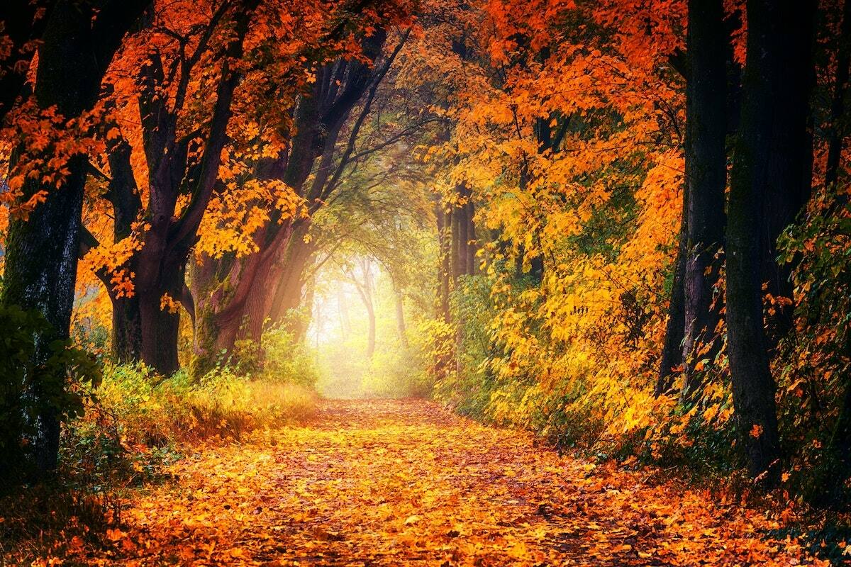 Equinoccio de otoño ¿Qué representa según las prácticas esotéricas? - Créditos: Pexels.com