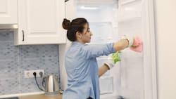 6 errores que cometes al limpiar tu refrigerador ¡Podrías dañarlo!