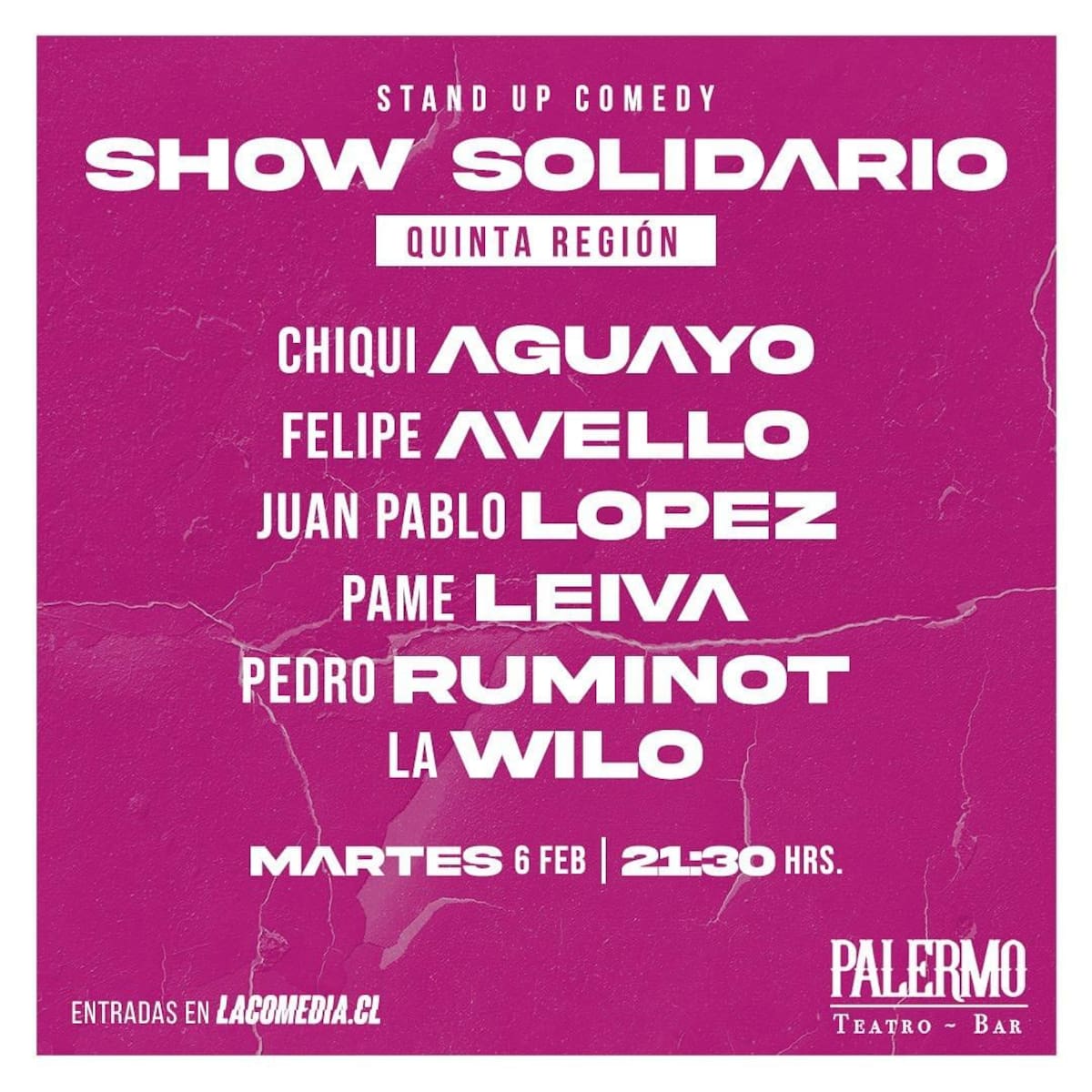 Felipe Avello y Pedro Ruminot son algunos de los comediantes que se presentaran en el show solidario.