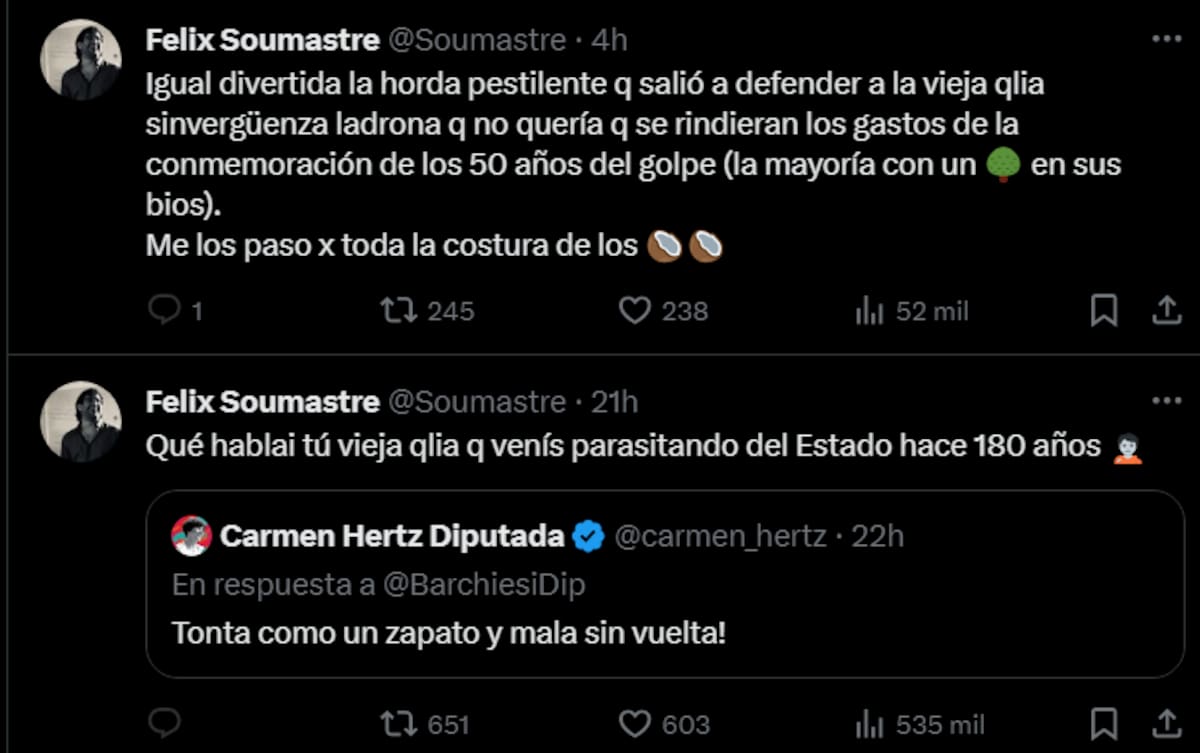 se llenó de críticas tras insultar a la Diputada Carmen Hertz.