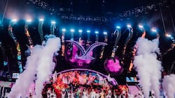 7 comediantes para 6 noches: Filtran terremoto interno en la organización del Festival de Viña 2026