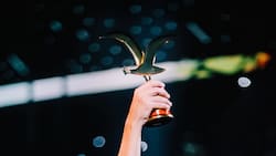 Tras confirmar su parrilla: ¿A qué hora comienza la preventa de entradas para el Festival de Viña 2026?