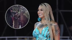 ¿Cuánto cuesta el auto con encargo por robo por el que Flor de Rap fue detenida?