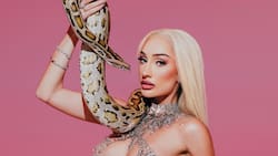 “No hubo violencia física ni amenazas”: Fran Maira impacta con últimas declaraciones sobre polémico episodio con Nes