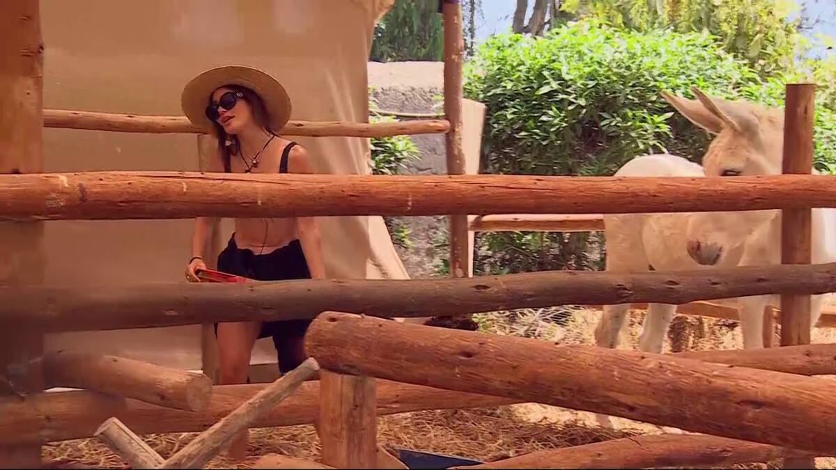 Fran Undurraga no soportó las ofensas de Angélica Sepúlveda. Créditos: Canal 13