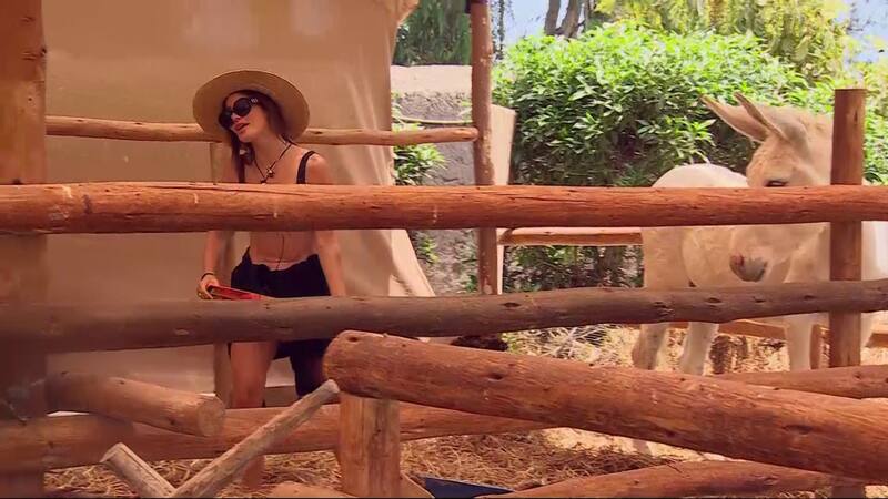 Fran Undurraga no soportó las ofensas de Angélica Sepúlveda. Créditos: Canal 13