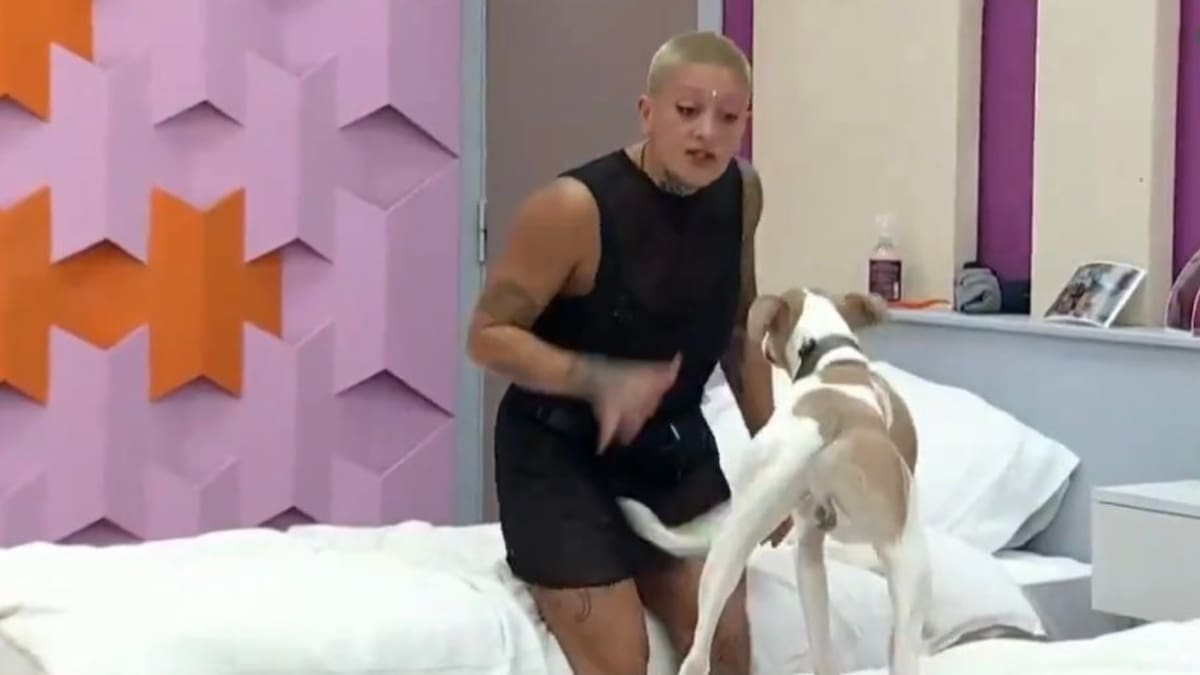 La chica reality se enfrento a Arturo, perro de la casa de Gran Hermano.
