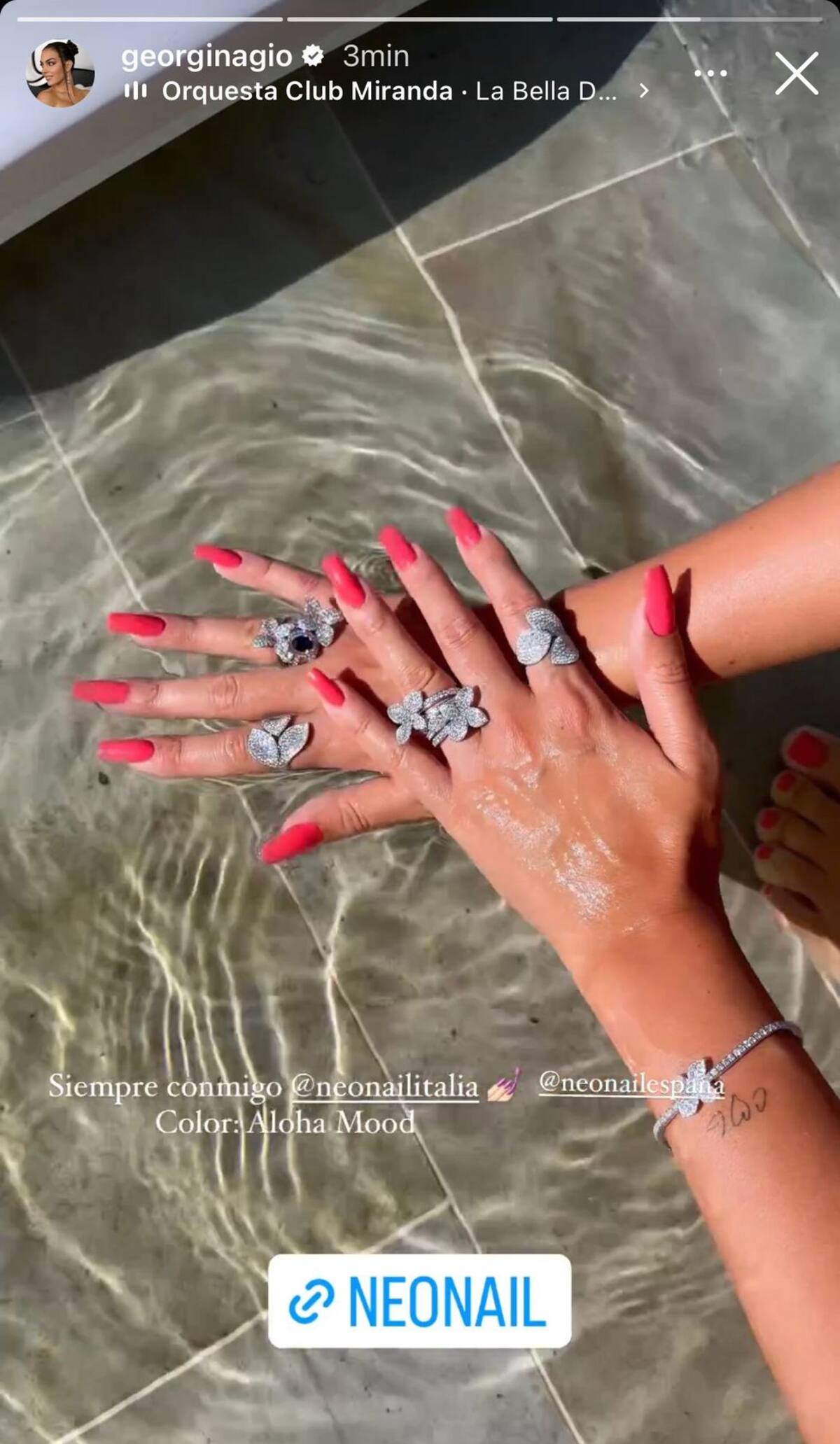 Los costosos accesorios son parte del día a día de la modelo.