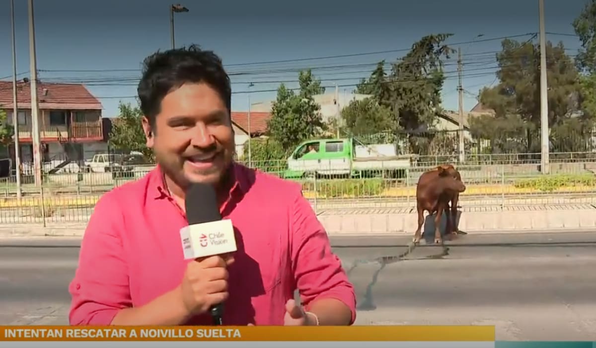 provocó la molestia de Priscilla Vargas.