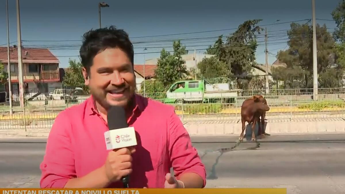 “Es tremendamente irresponsable”: Priscilla Vargas se lanzó contra cobertura de Gino Costa en CHV