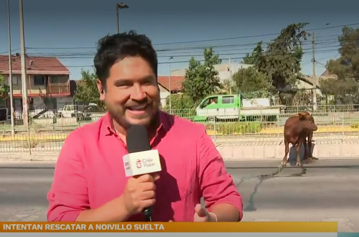 “Es tremendamente irresponsable”: Priscilla Vargas se lanzó contra cobertura de Gino Costa en CHV