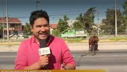 “Es tremendamente irresponsable”: Priscilla Vargas se lanzó contra cobertura de Gino Costa en CHV