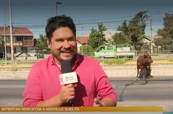 “Es tremendamente irresponsable”: Priscilla Vargas se lanzó contra cobertura de Gino Costa en CHV