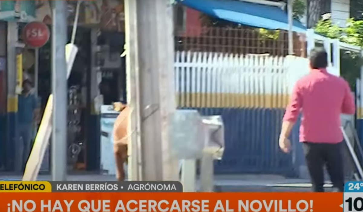 La molestia de Priscilla Vargas por la cobertura de Gino Costa.