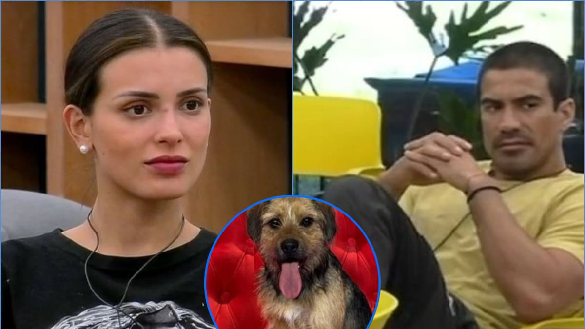 “Hay gente que no tiene paciencia”: Constanza Capelli acusó que Sebastián Ramírez le pegó patadas a Bigote en “Gran Hermano” Chile