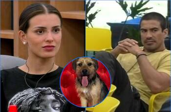 “Hay gente que no tiene paciencia”: Constanza Capelli acusó que Sebastián Ramírez le pegó patadas a Bigote en “Gran Hermano” Chile