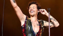 Dejó atrás sus rizos: Harry Styles sorprende con radical cambio de look
