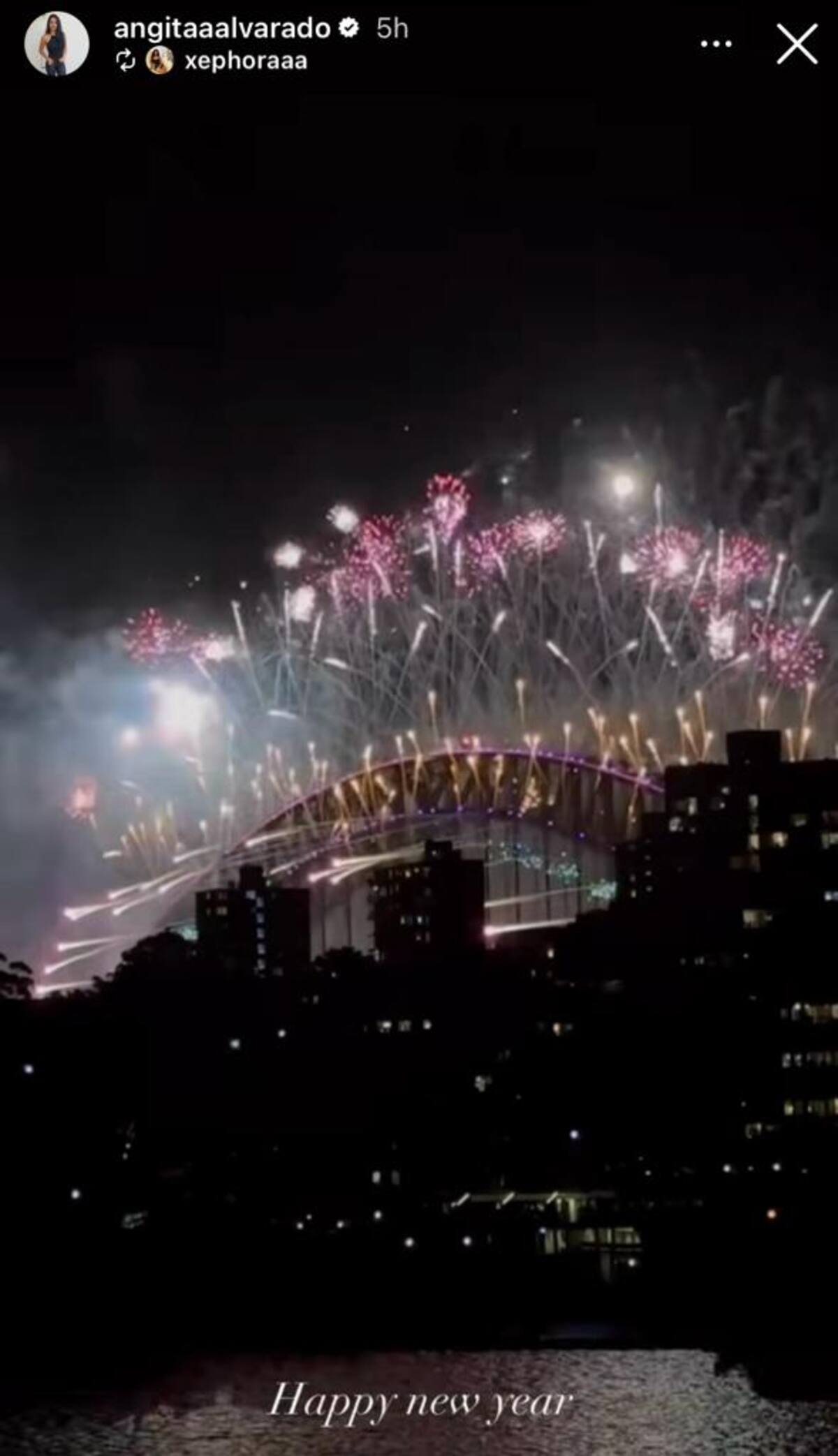 Angie Alvarado le da la bienvenida al 2024.