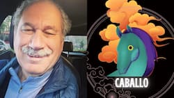 Horóscopo Chino 2024: Predicciones de Pedro Engel para el Caballo