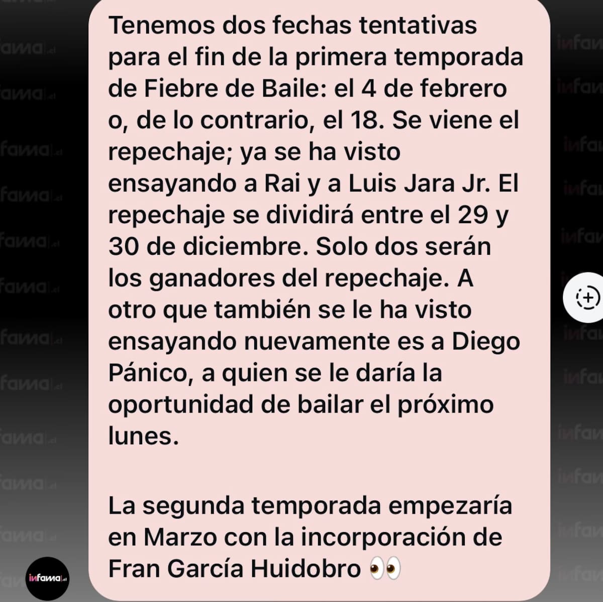 El portal reveló rol clave de Fran García-Huidobro.