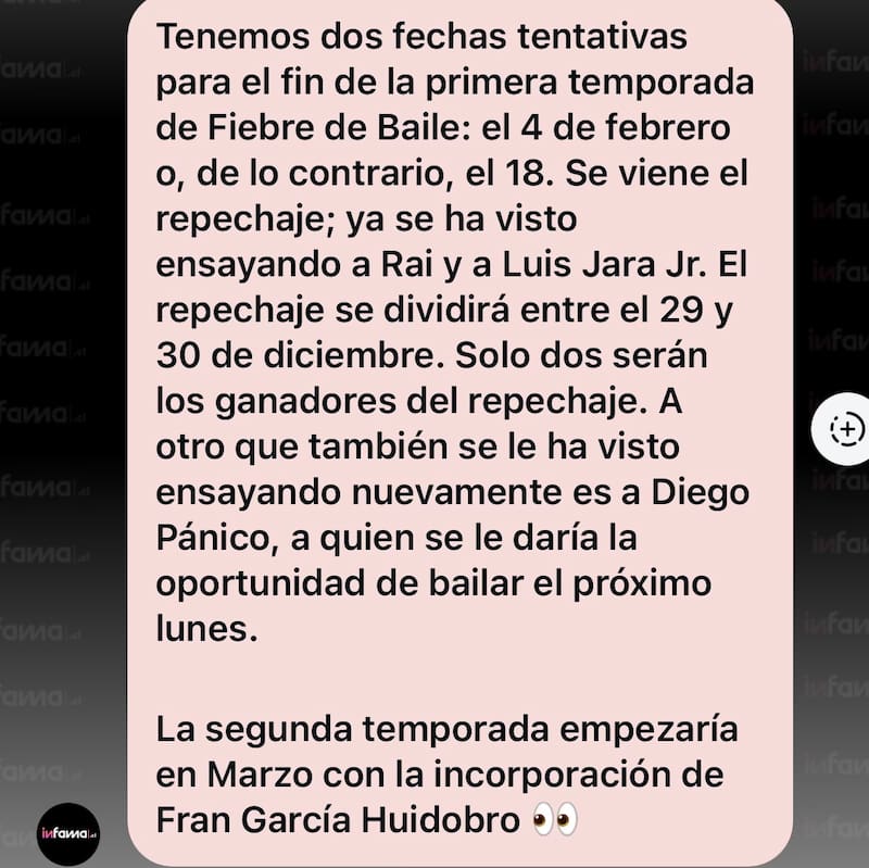 El portal reveló rol clave de Fran García-Huidobro.