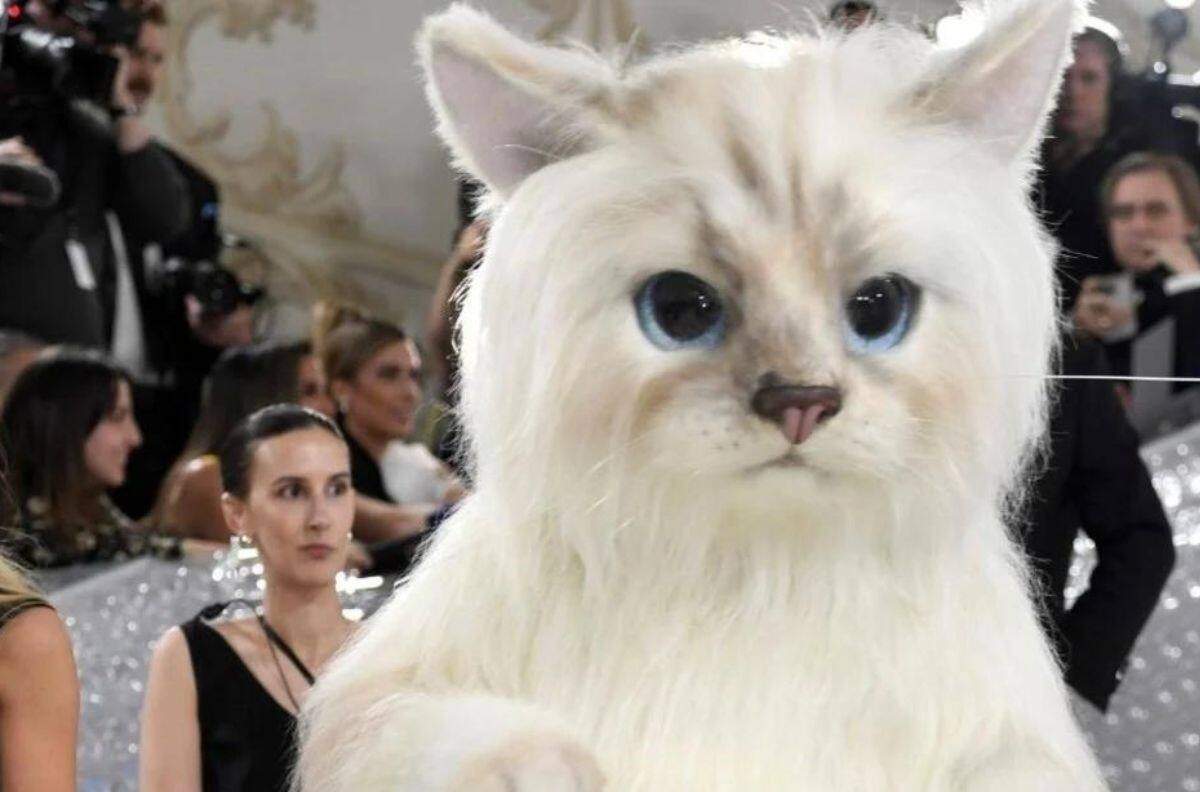 Met Gala 2023: Jared Leto y Doja Cat aparecieron vestido de gato en el evento