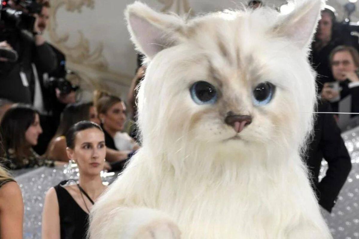 Jared Leto y Doja Cat aparecieron vestido de gato en la Gala Met Jared Leto y Doja Cat - Créditos: Internet