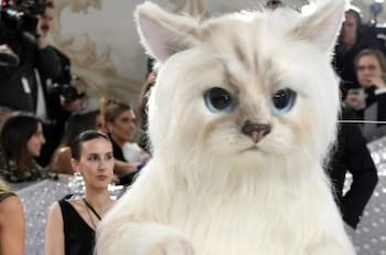 Met Gala 2023: Jared Leto y Doja Cat aparecieron vestido de gato en el evento