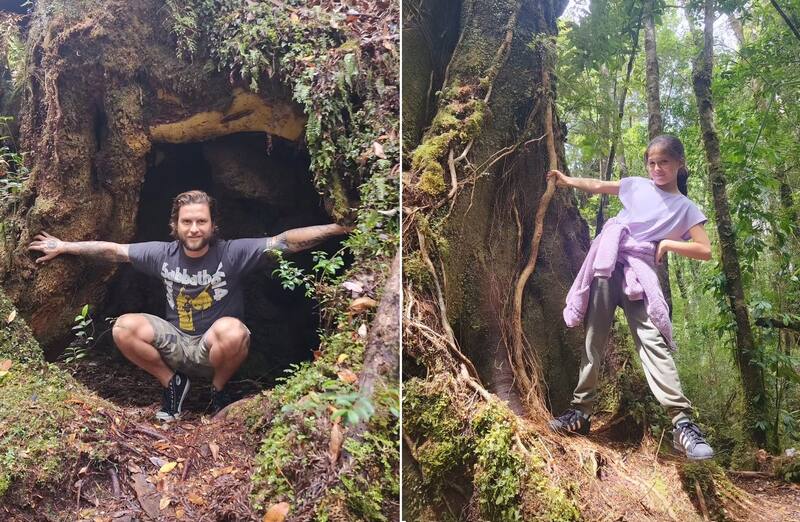 Jean Philippe Cretton y Moana inmersos en los bosques. Créditos: Instagram