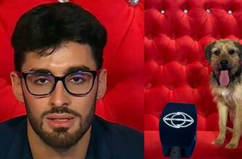 “Eso es agresión”: Acusan a Jorge Aldoney de maltrato a Bigote en “Gran Hermano” Chile