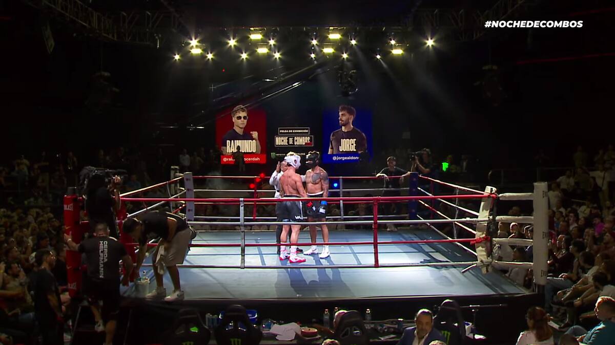 se pelearon en un ring de boxeo.