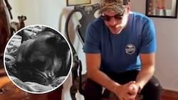 “Mi querido Bo...”: José Antonio Neme sufre la muerte de su perrito a solo horas de importante viaje al extranjero