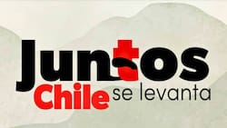 “Juntos, Chile se levanta”: Estos son los artistas que se presentaran en el show solidario